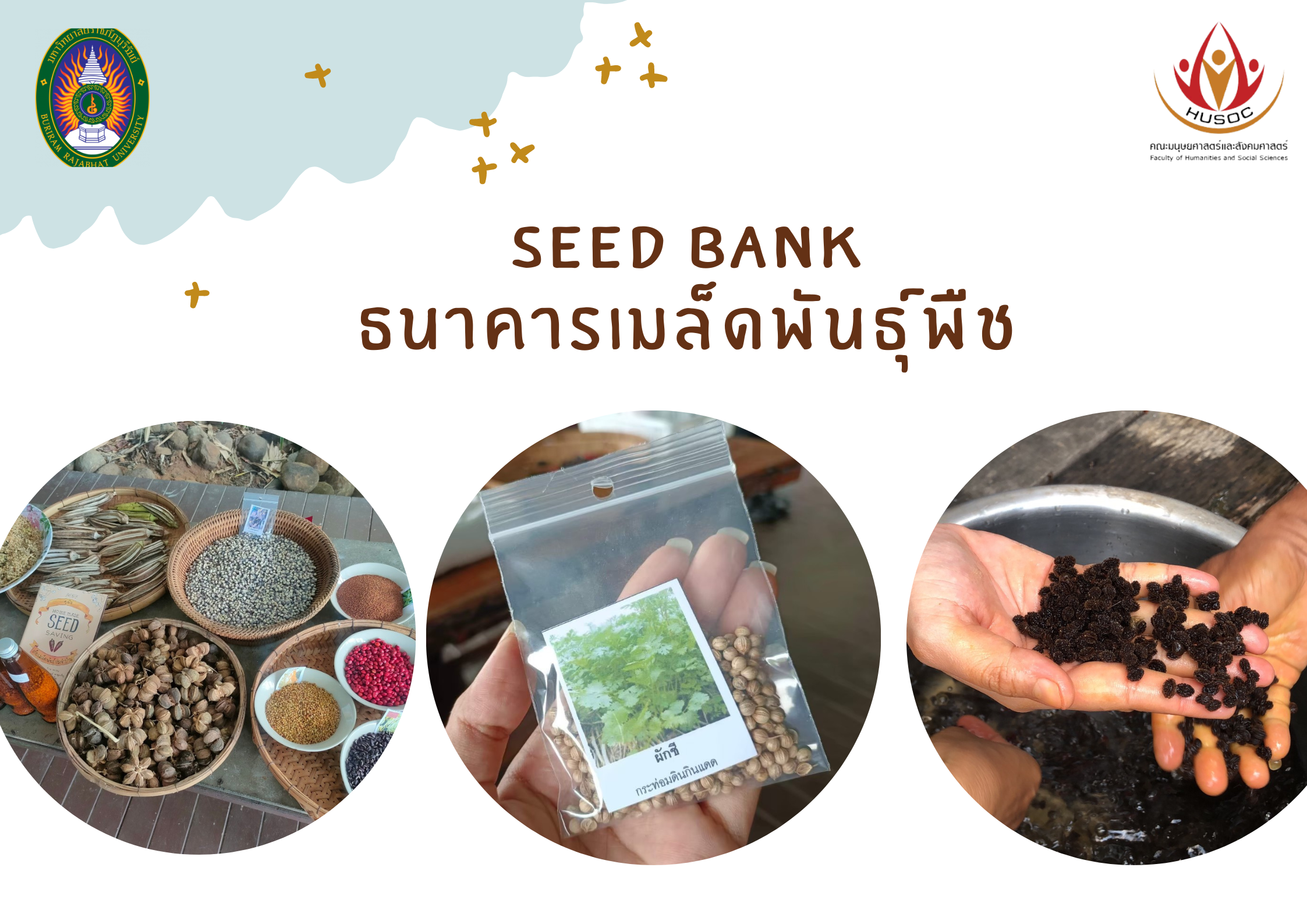 Seed  Bank - ธนาคารเมล็ดพันธุ์พืชสู่ความมั่นคงทางอาหารของชุมชนท้องถิ่น HUSOC.CC2